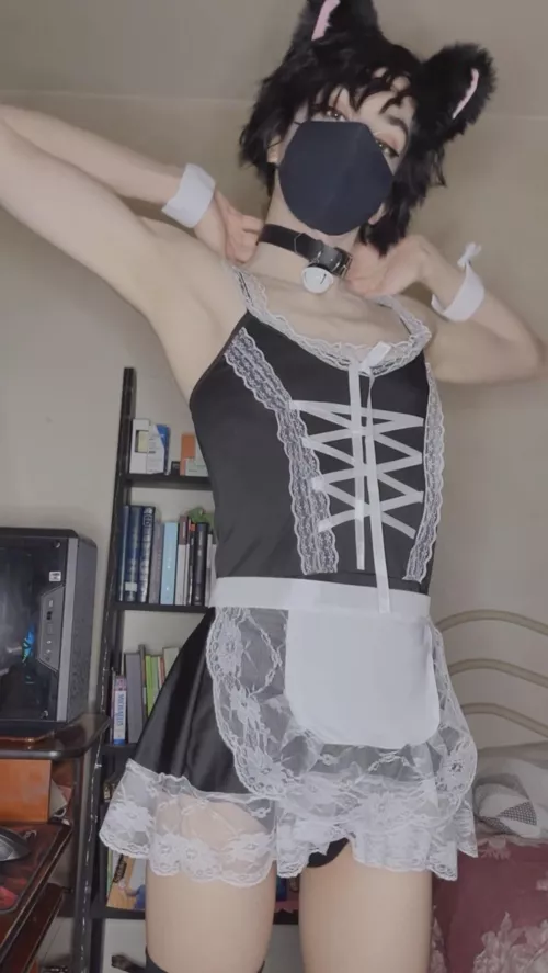 I can be your maid :3