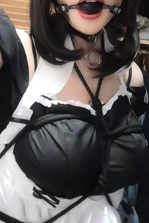 Prepared to greet master after work - Because a proper greeting isnt done with words