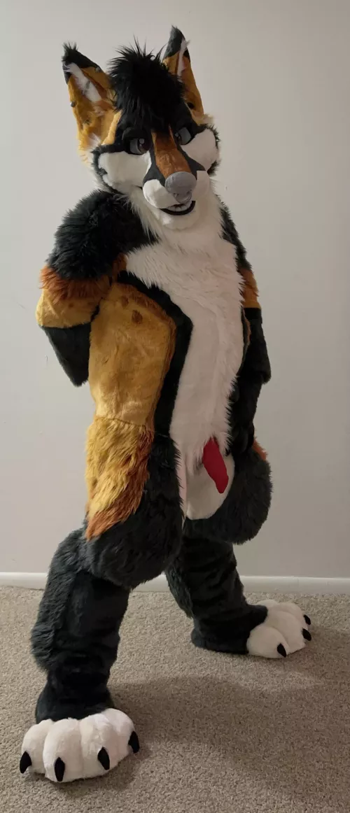 This fox is a little pent up after Furrydelphia