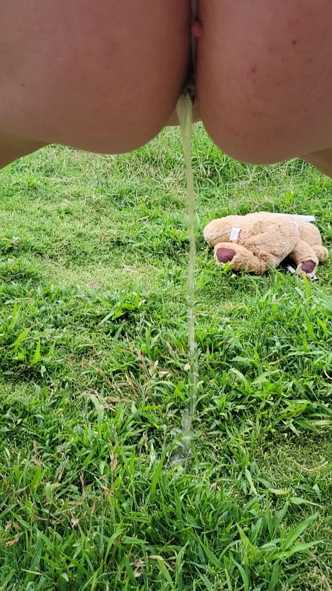 When the bean is sitting on your bladder