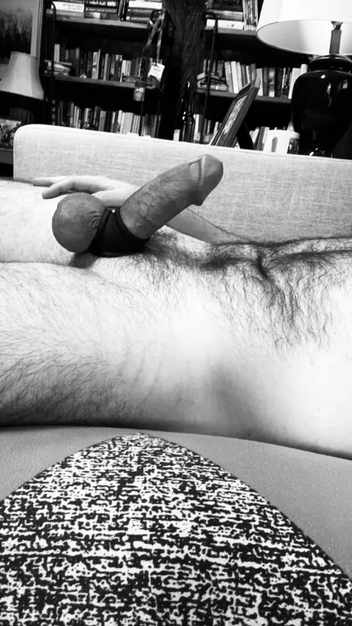 [35] [M4A] How would you like to spend your hump day?