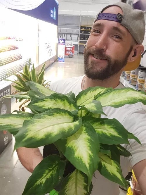 Happy Tuesday beautiful. You're amazing.