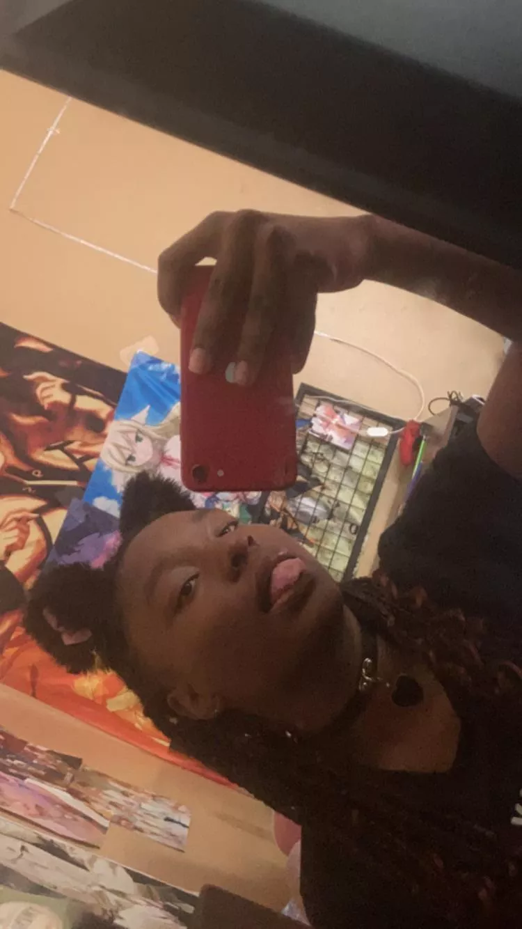 Masochist Kitty wants to be pet 💕