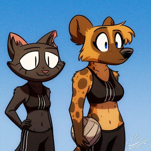 Volleyball (Katnay)