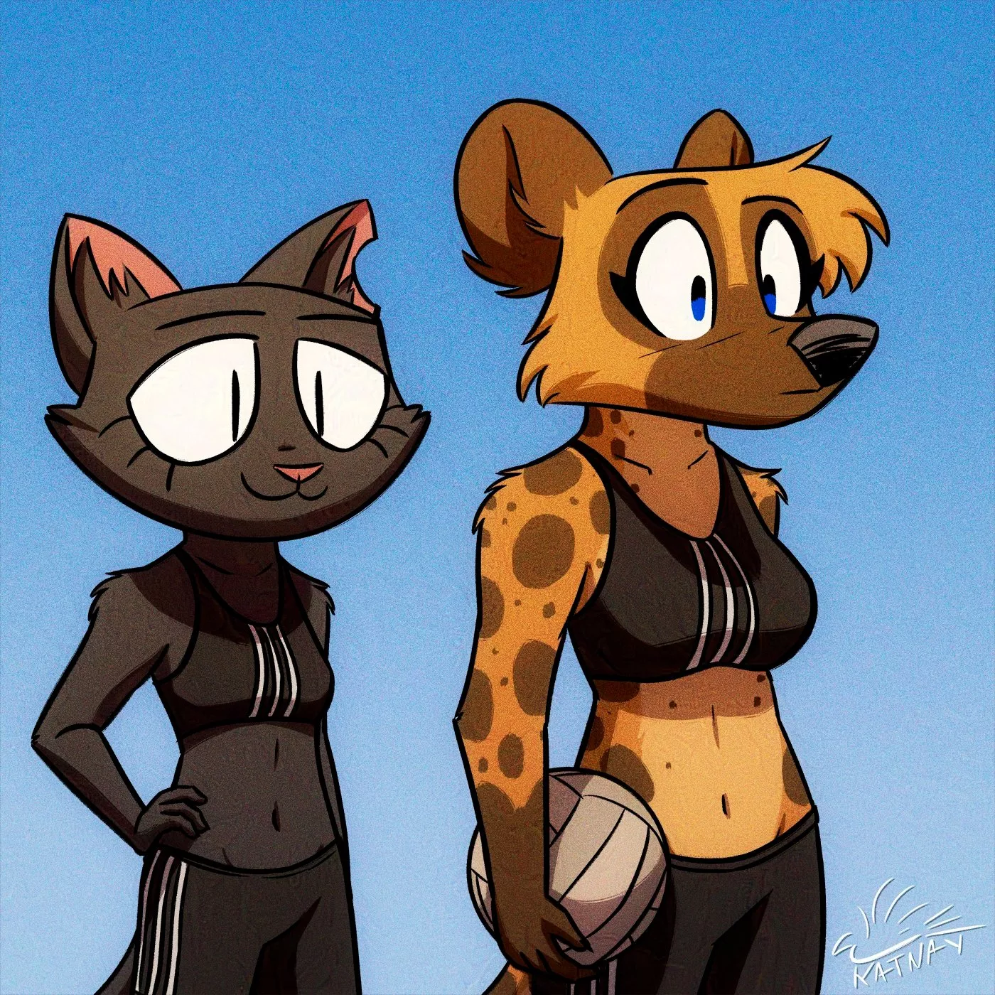 Volleyball (Katnay)