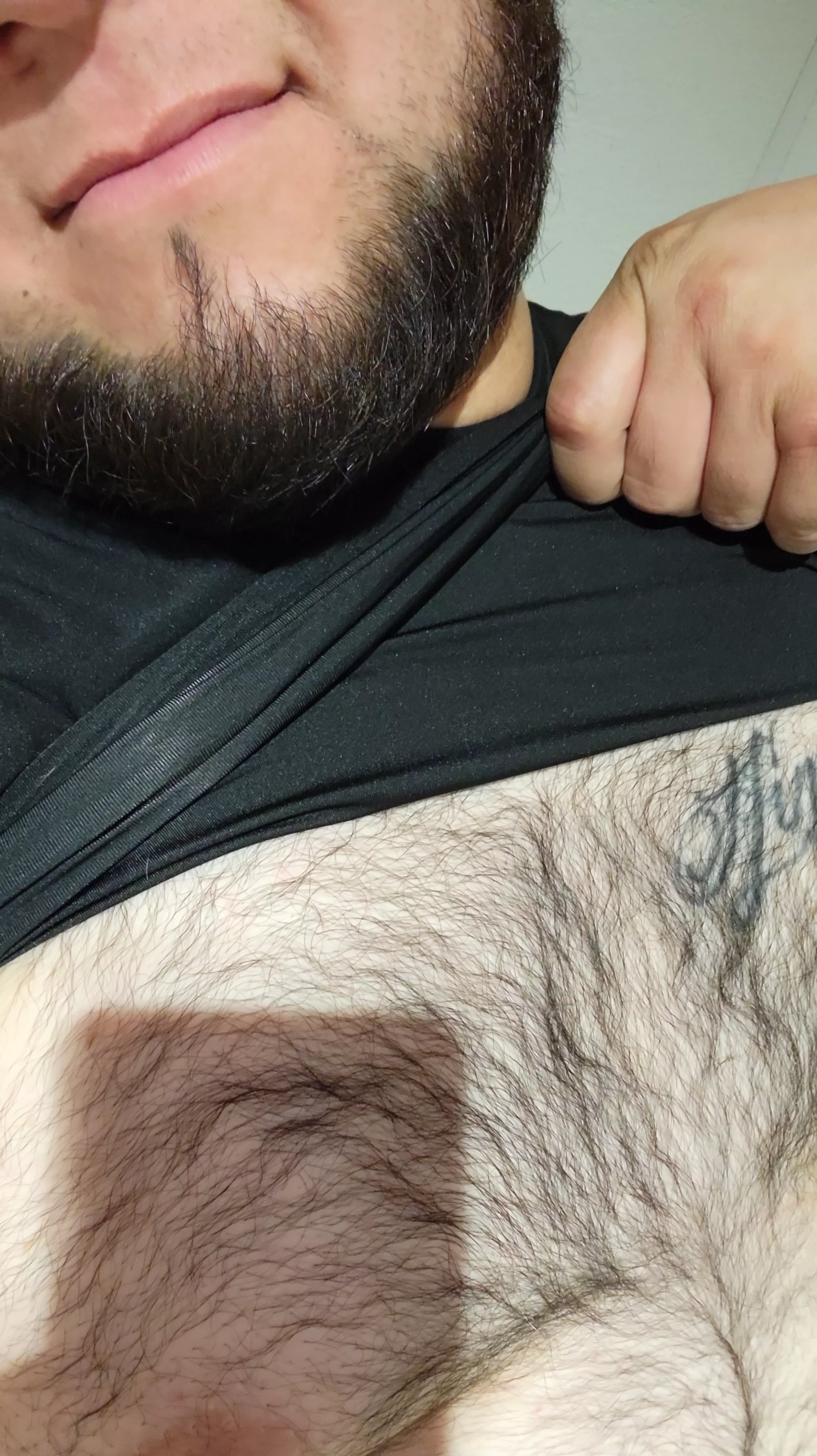 What do you think of my hairy chest?
