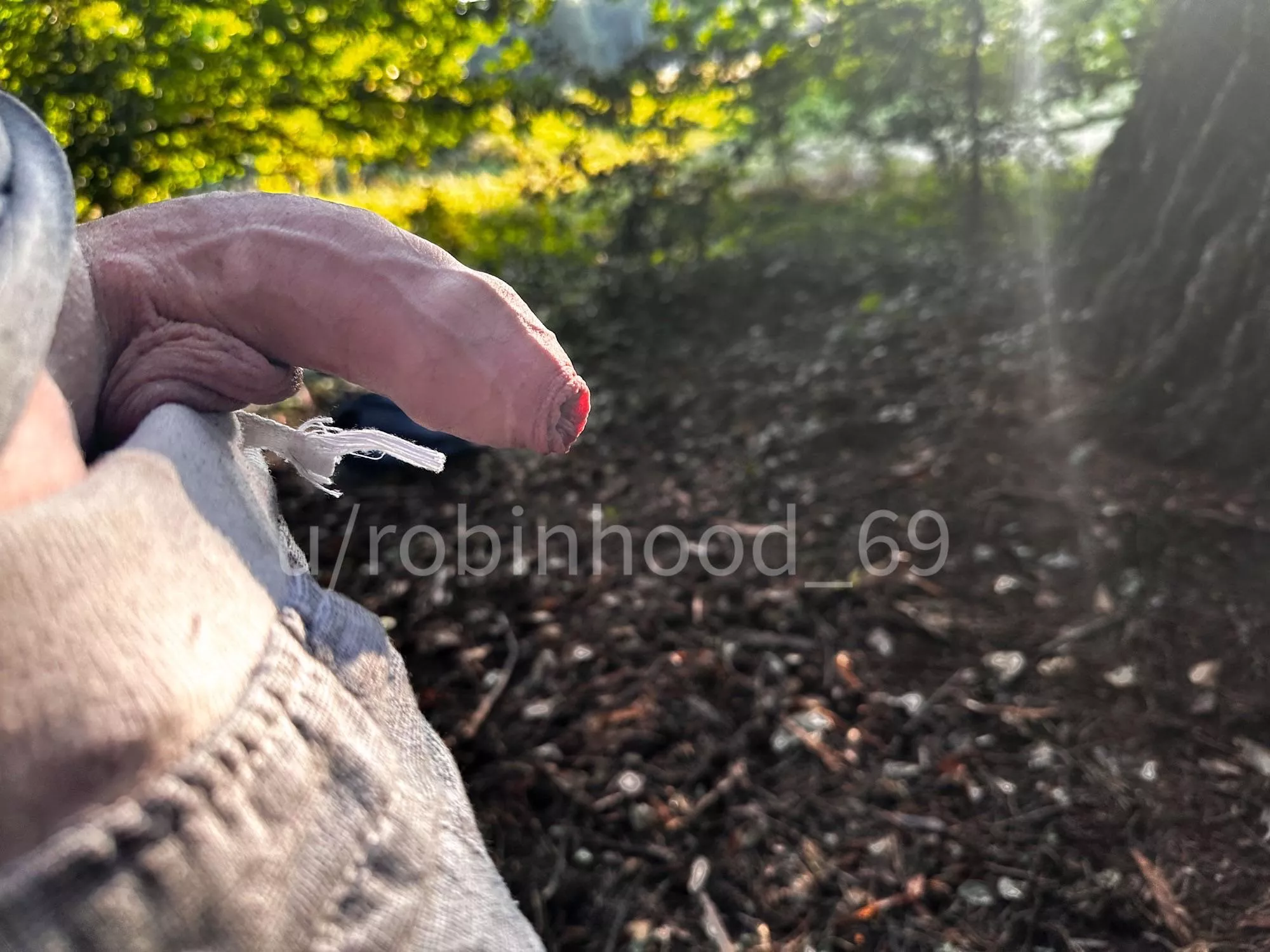 Wood in the forest :-)