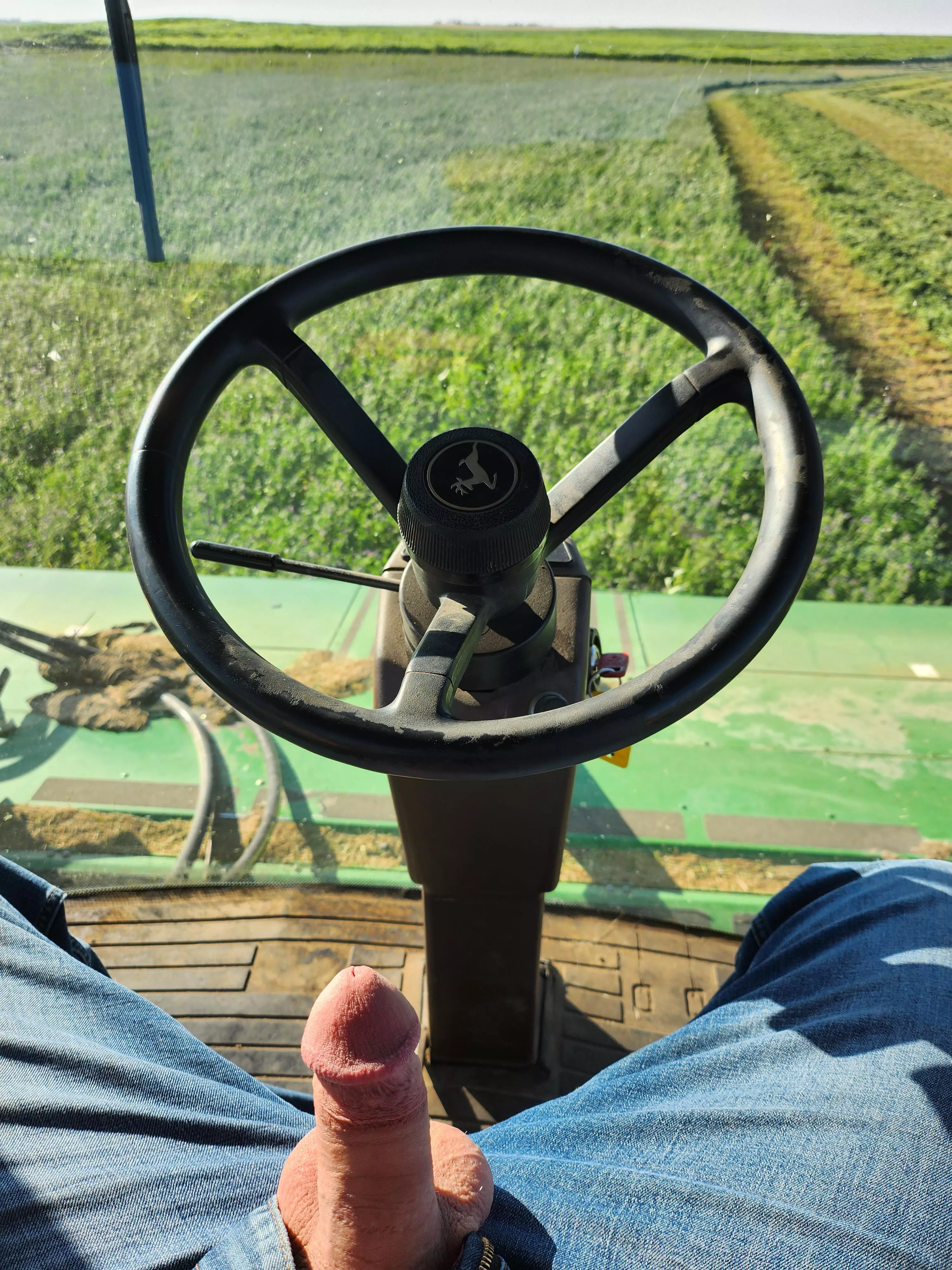 Any one want to make hay with me [25]