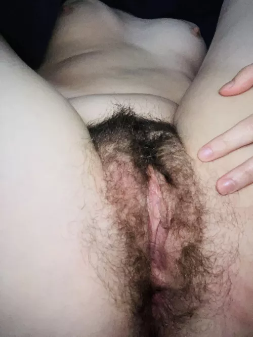 Are you really gonna say no to me?