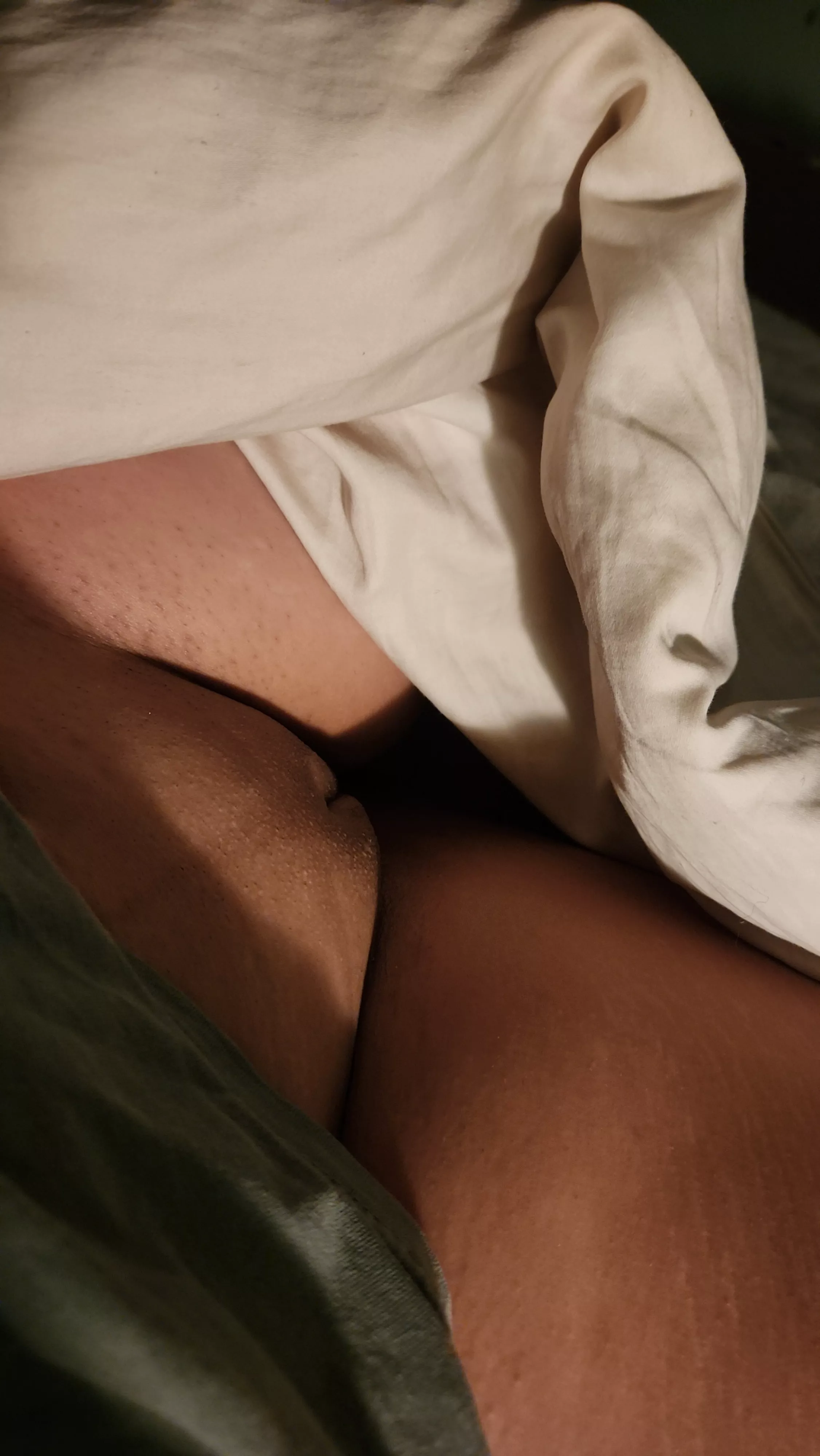 Freshly smooth kitty