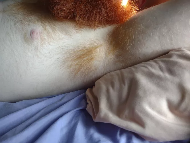 Ginger fuzz