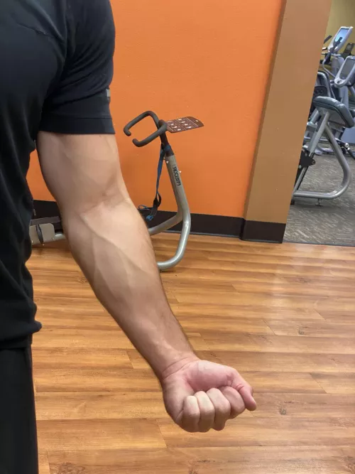 I love how much my veins pop at the gym