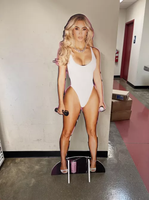 Our new alani energy cut out. Love it