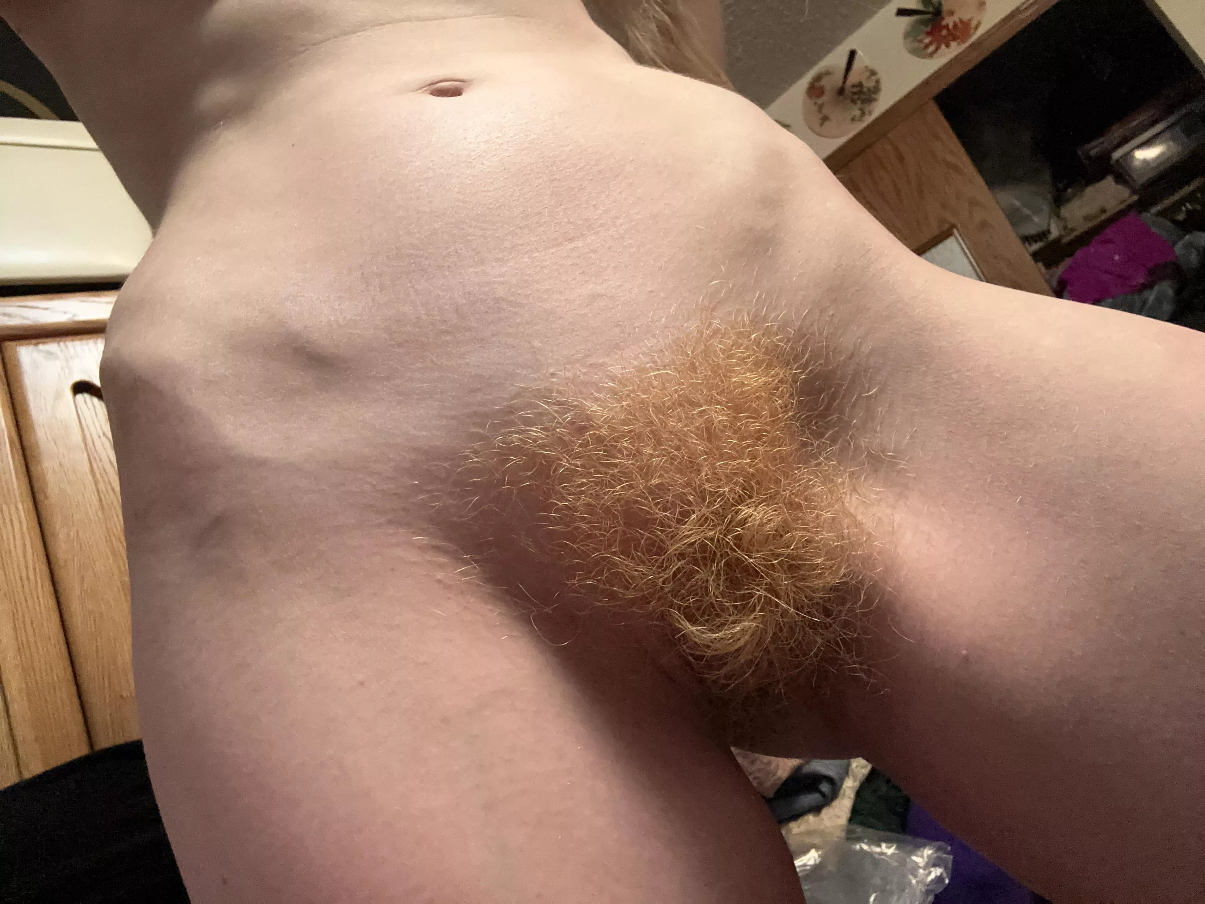 Redhead Furry Bush