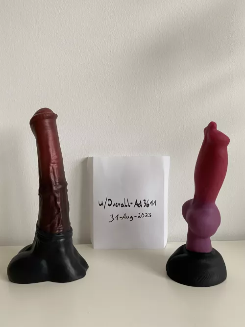 Sell BadDragon Chance unflared M and Rex M (Germany)