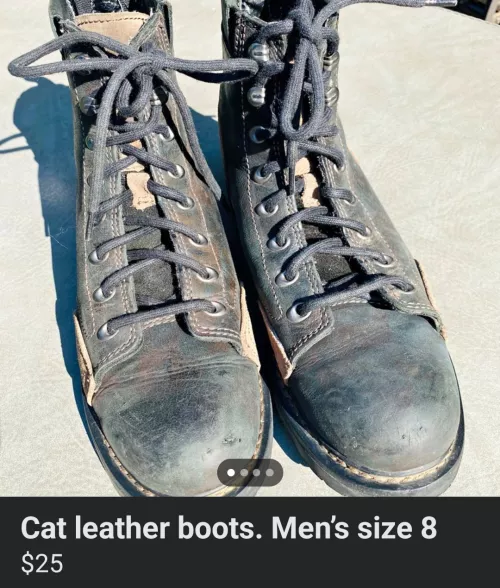 Umm, I'll pass. My cats won't like it.