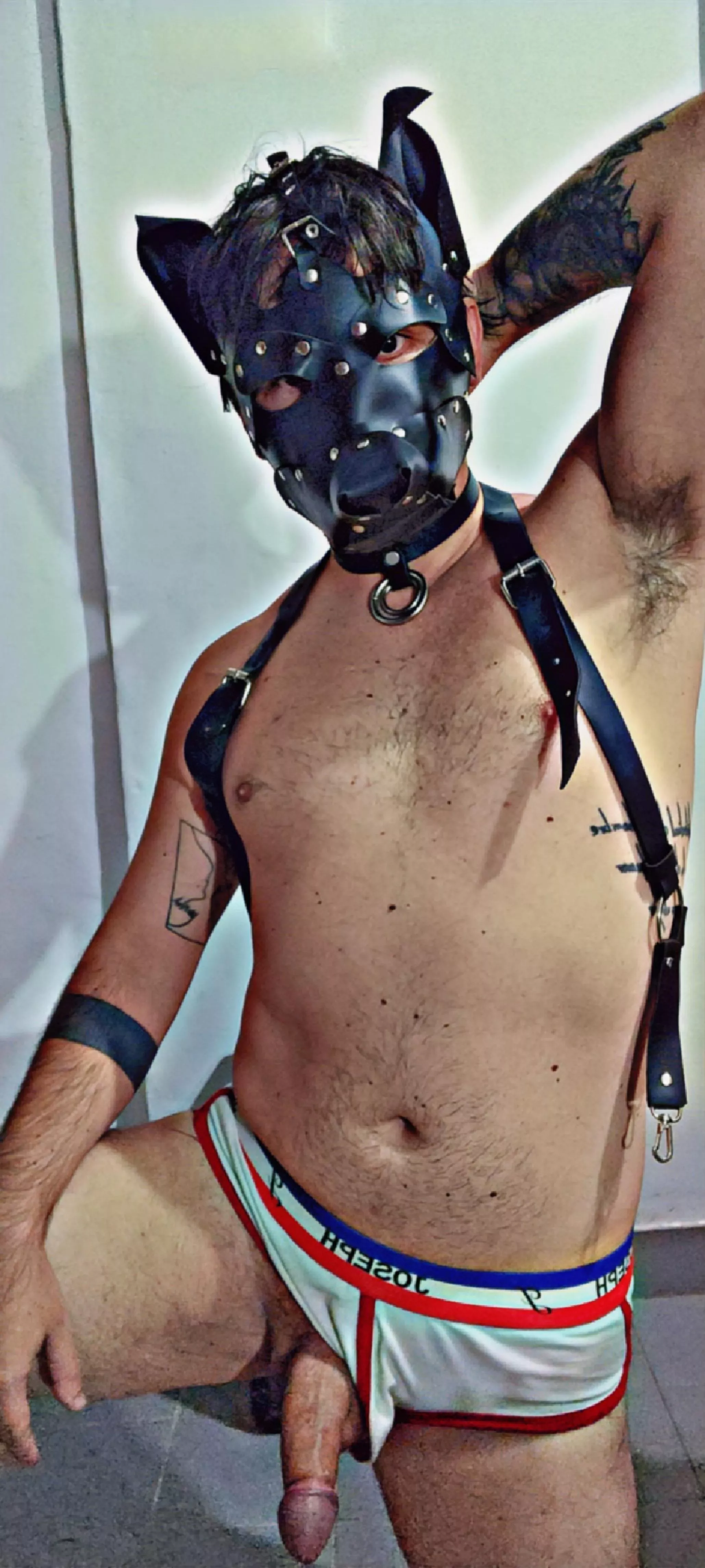 After a day at work, you get home but this kinky dog won't let you rest.