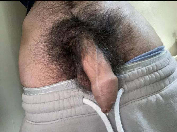Can’t think of anything witty to say, just more male pubes