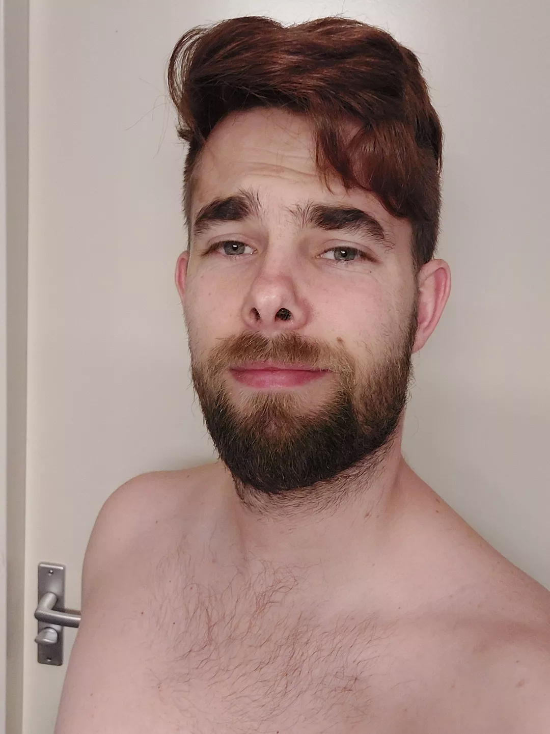 Dyed my hair 🍂✨️