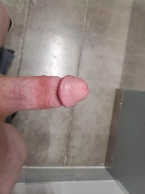 Love gingers any in Dfw