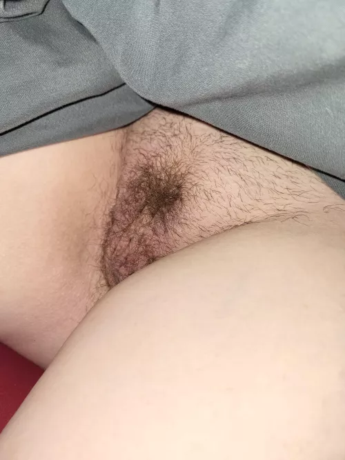 Milf hairy pussy 😋