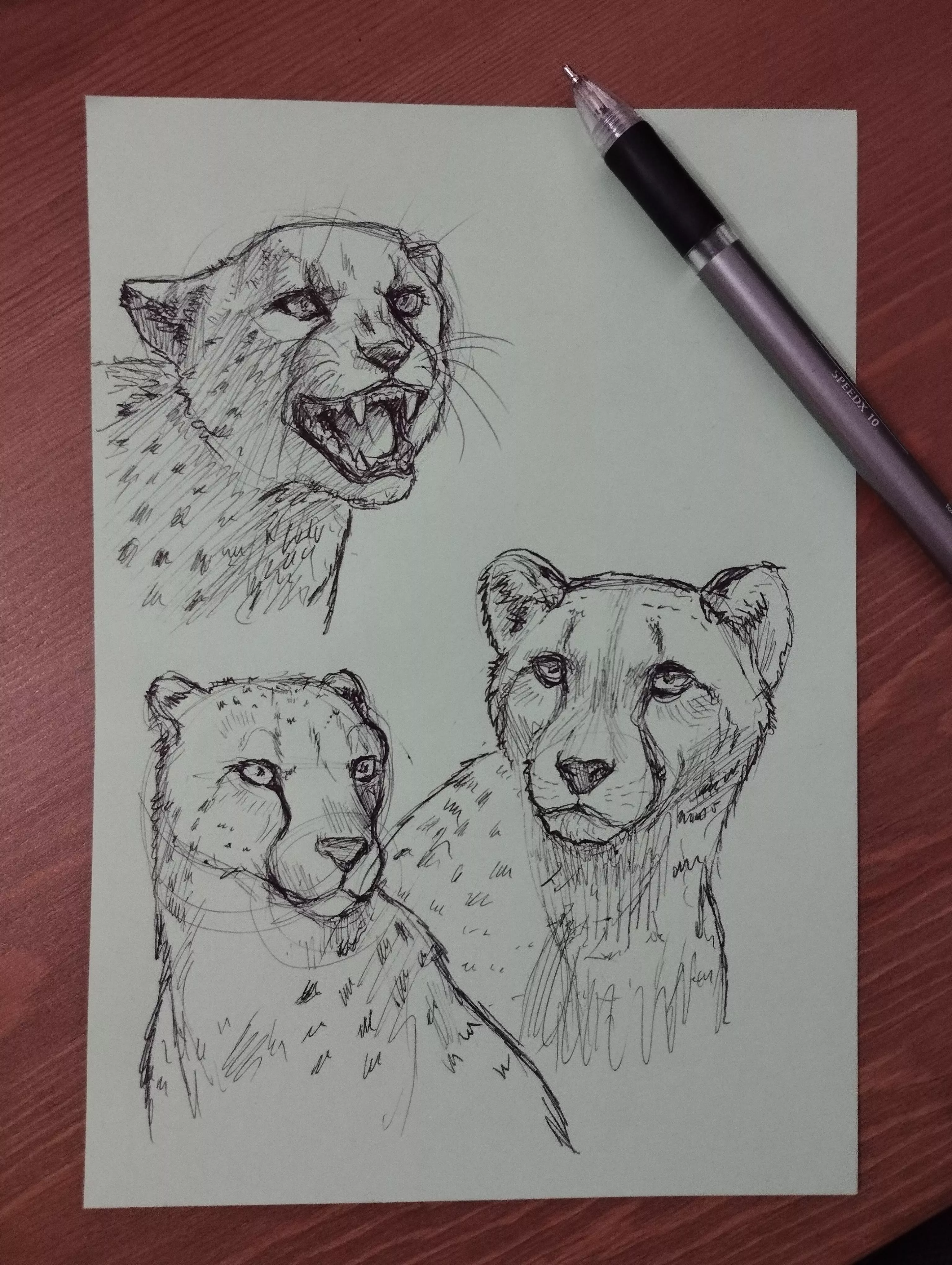 Preparation for a character (Art by me)