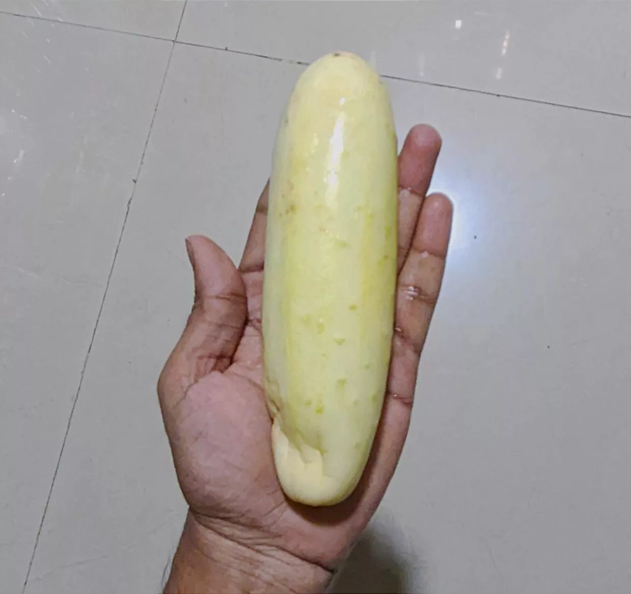 [18M] Gonna use this 7.5in cucumber tonight at 8pm IST. Dm if u wanna see it live 😉.