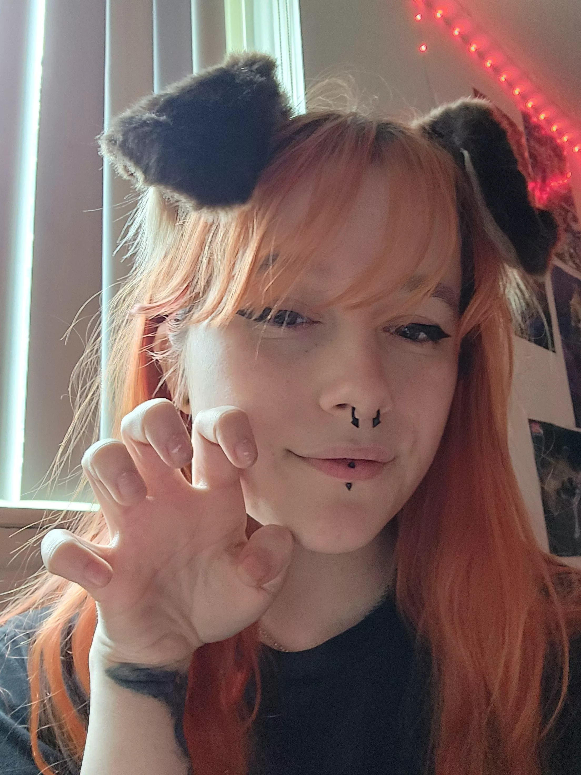 arf arf! look at my new ears!