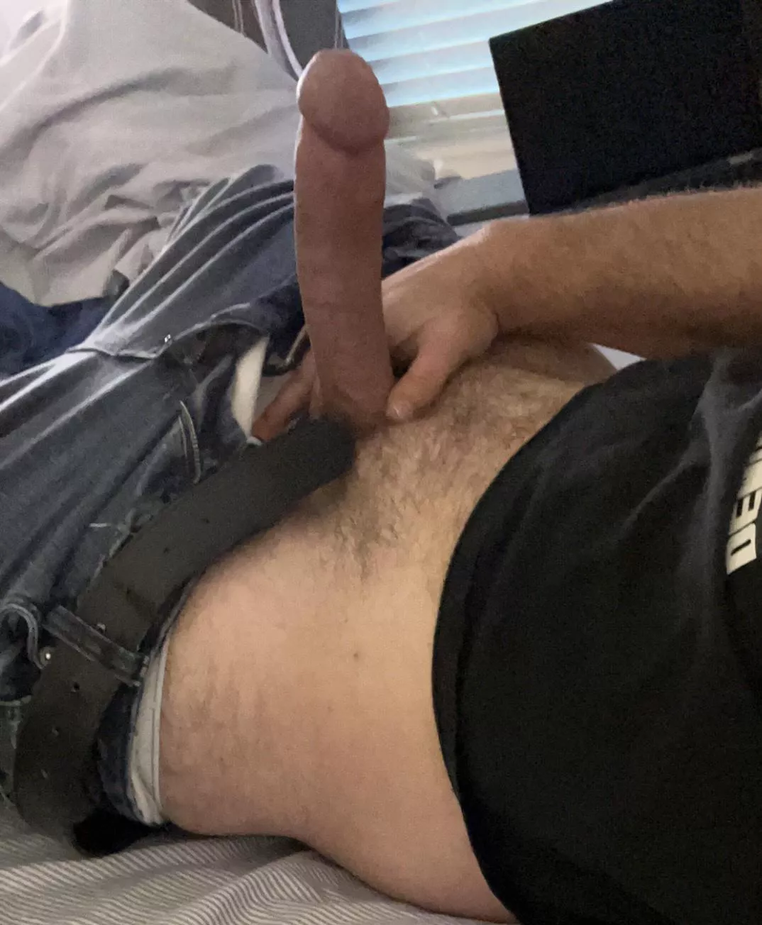 Breeds in the dl (36)