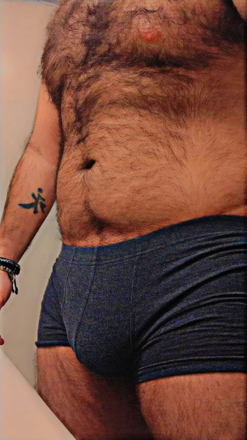 Hairy Bear belly