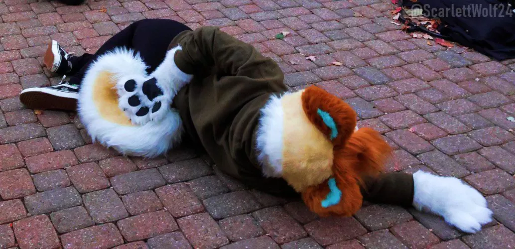 Happy Fursuit Friday! :)