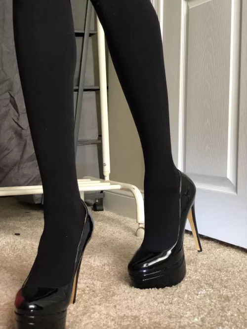 My favorite pair of pumps