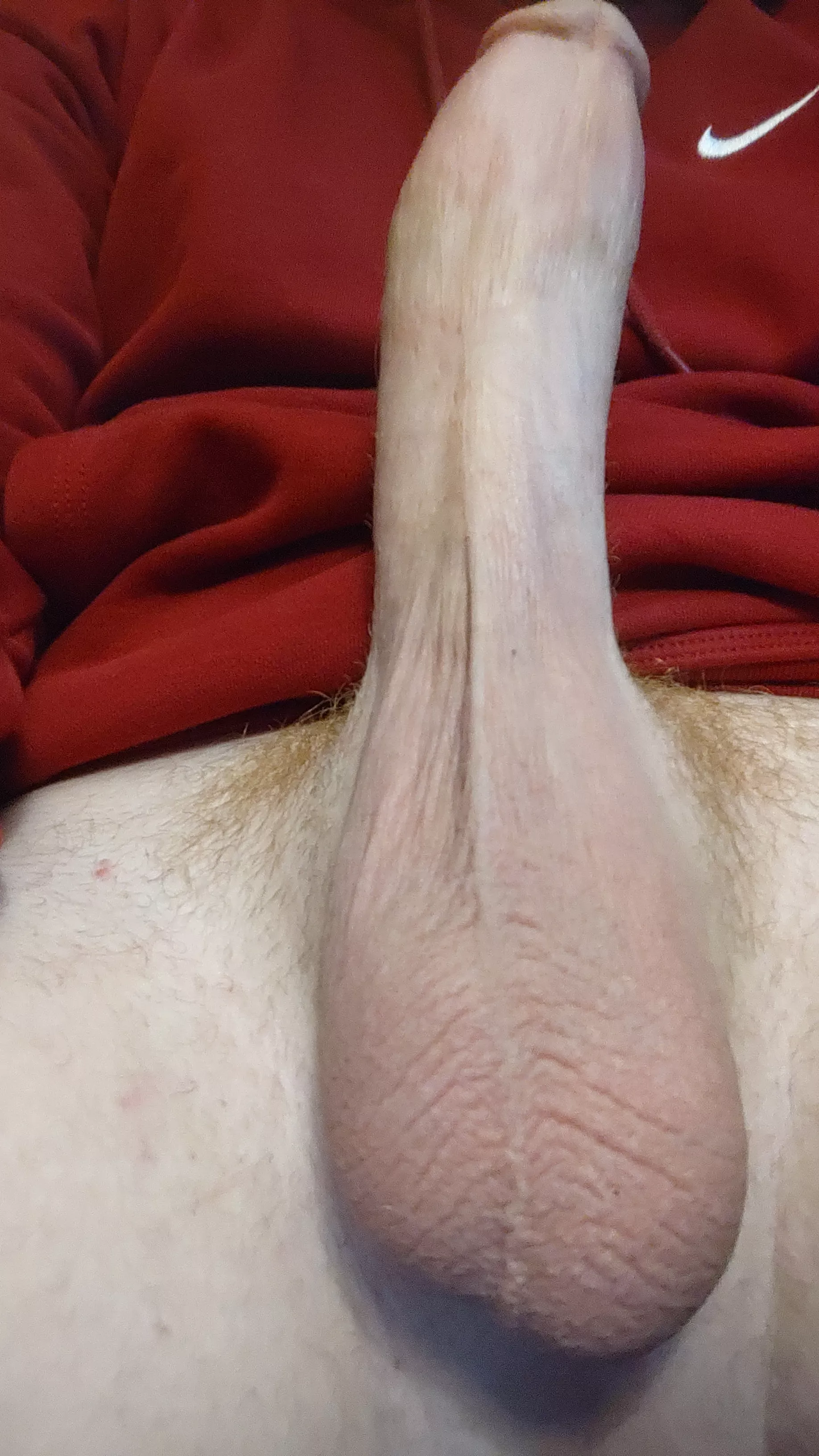 Need someone to suck