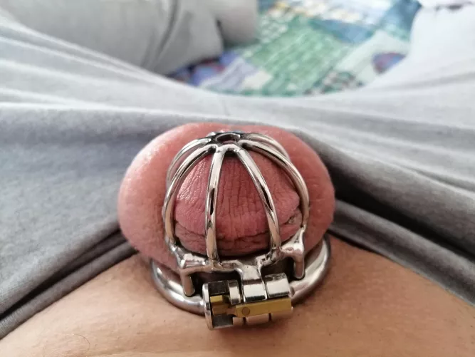 Should I get a smaller cage?