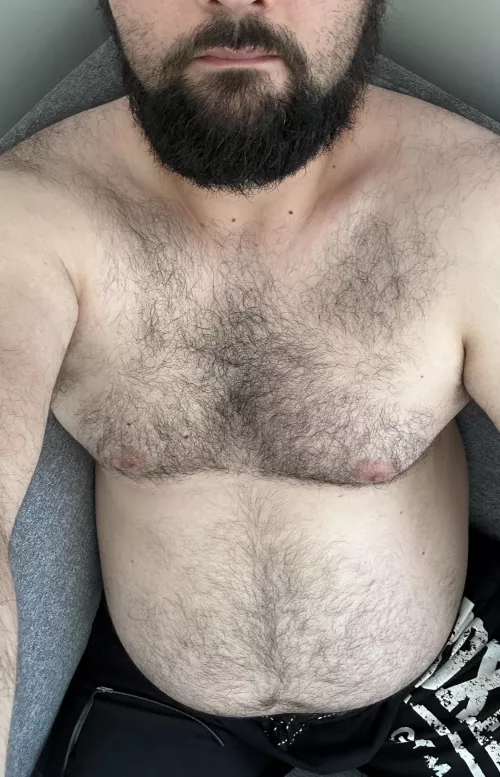 Somebody for a 🐻?