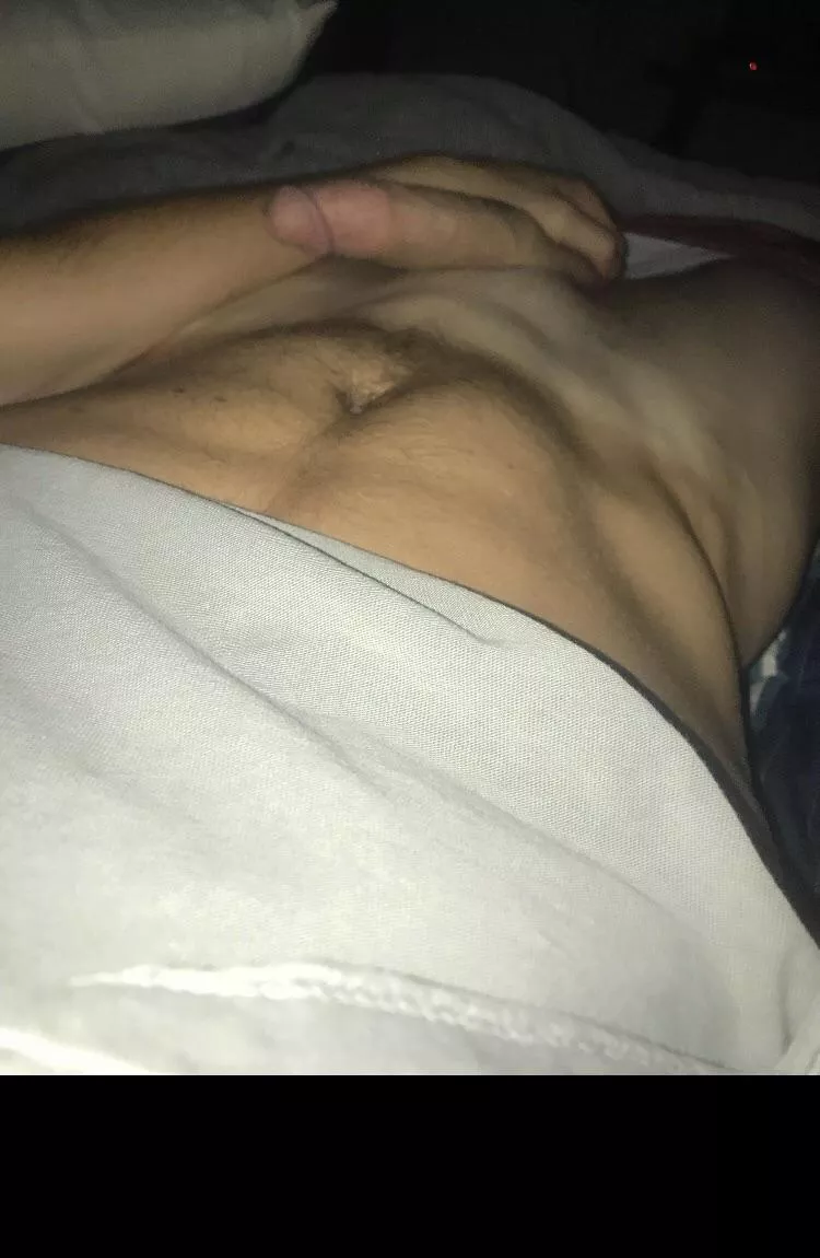 What would you do if you saw my morning wood?