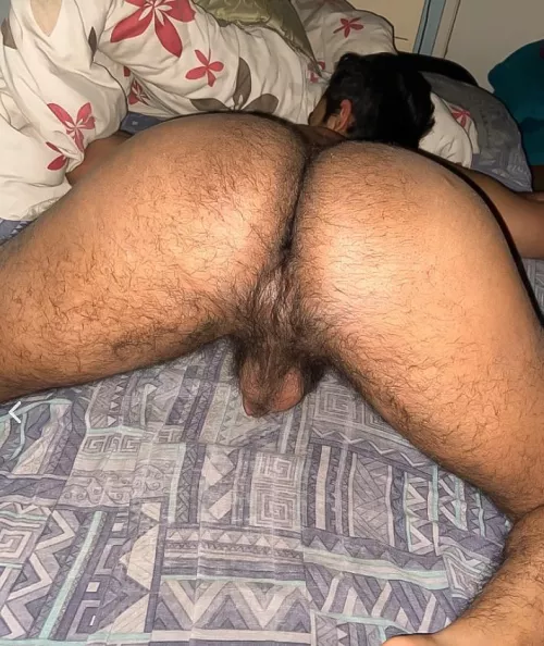 Would you shove your face in a hairy ass?