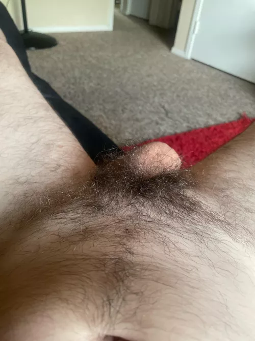 I’d like someone’s face in my pubes