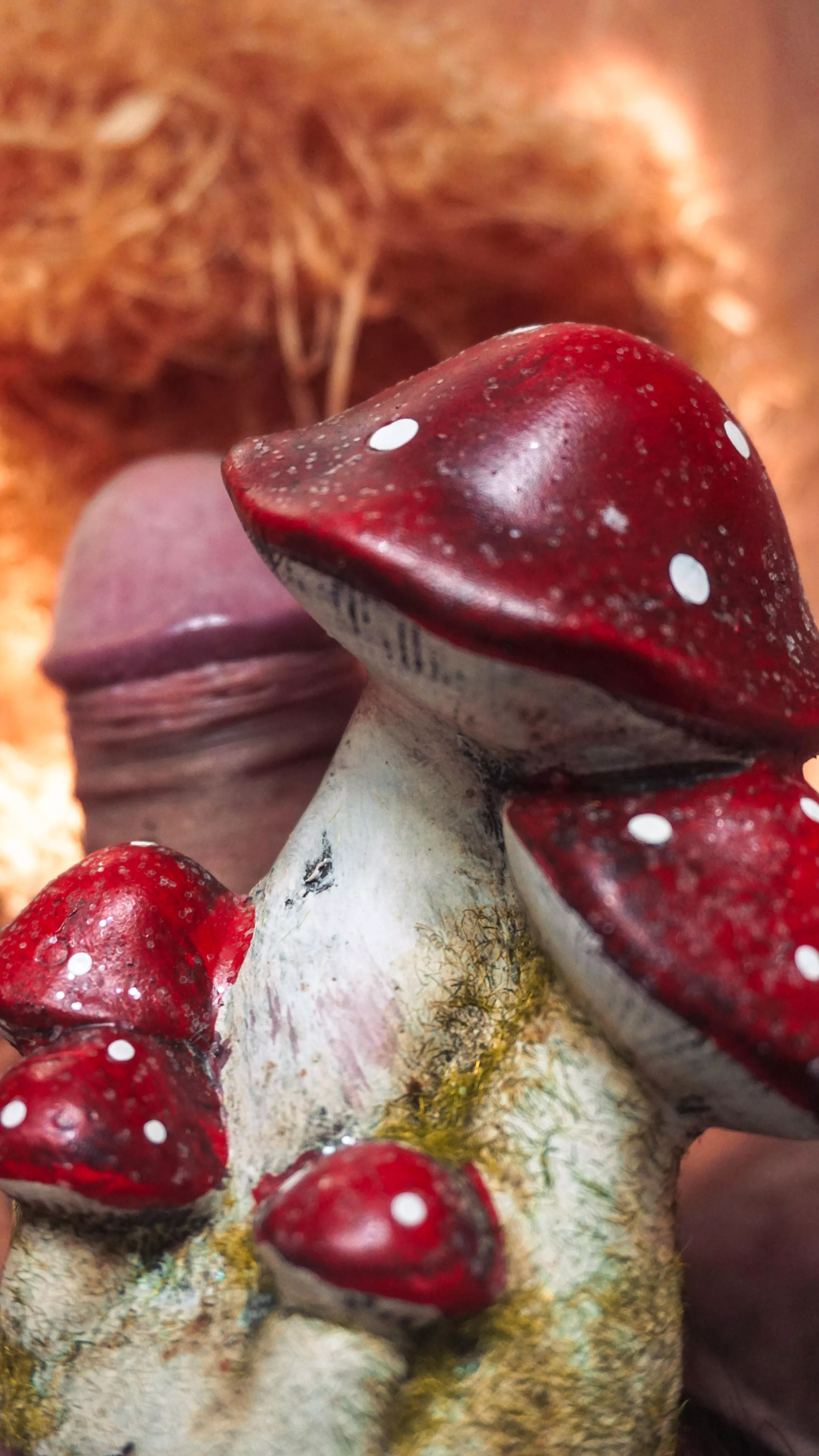 Is mushroom season, are you ready ? 🍄