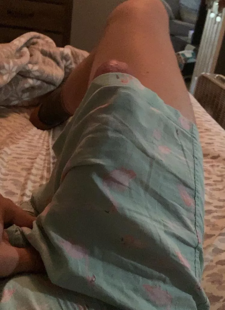 Little afternoon wood