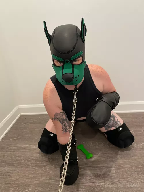 Naughty pup needs disciplined
