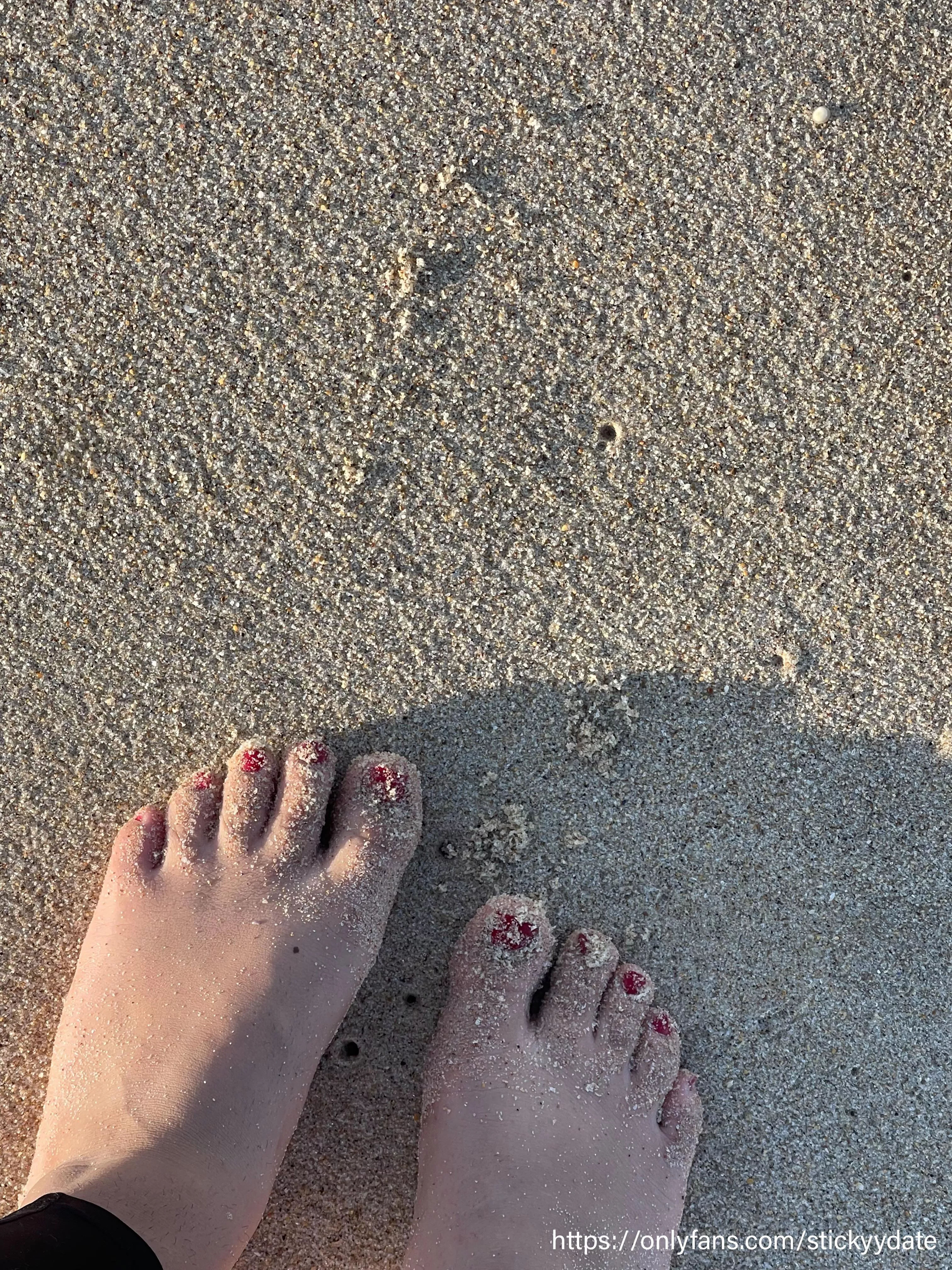 Sandy beach toes x