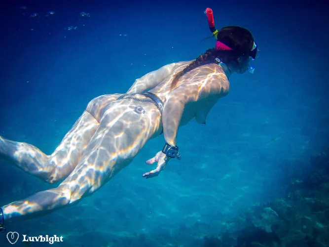 Snorkeling naked and belted in Key West (2009)