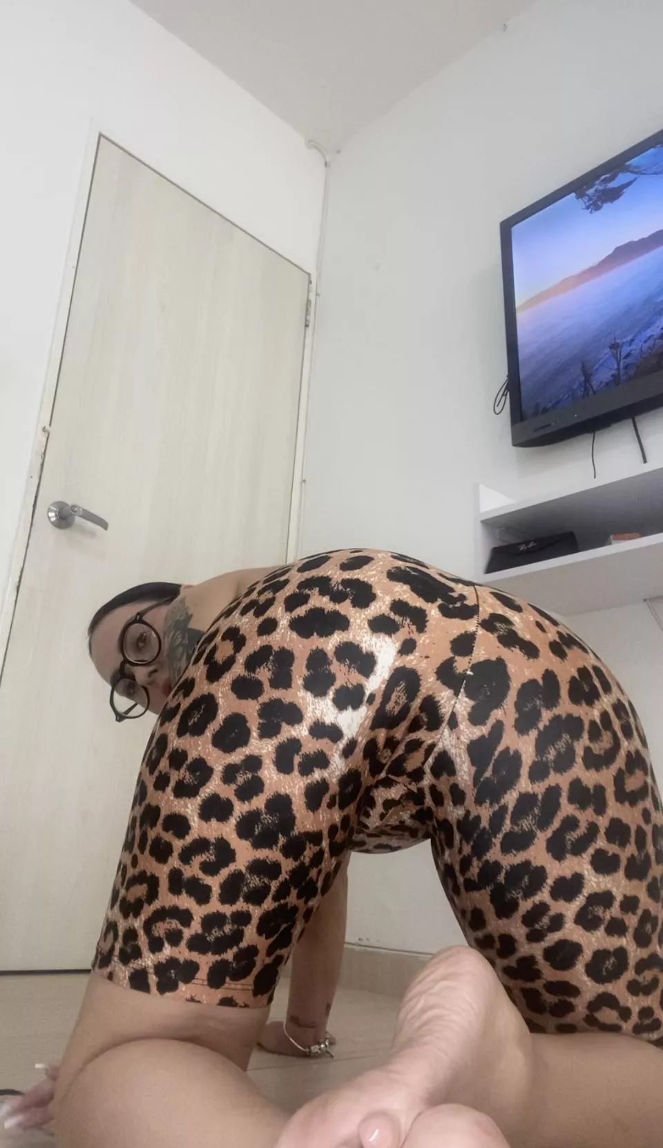 Cougar needs some filling