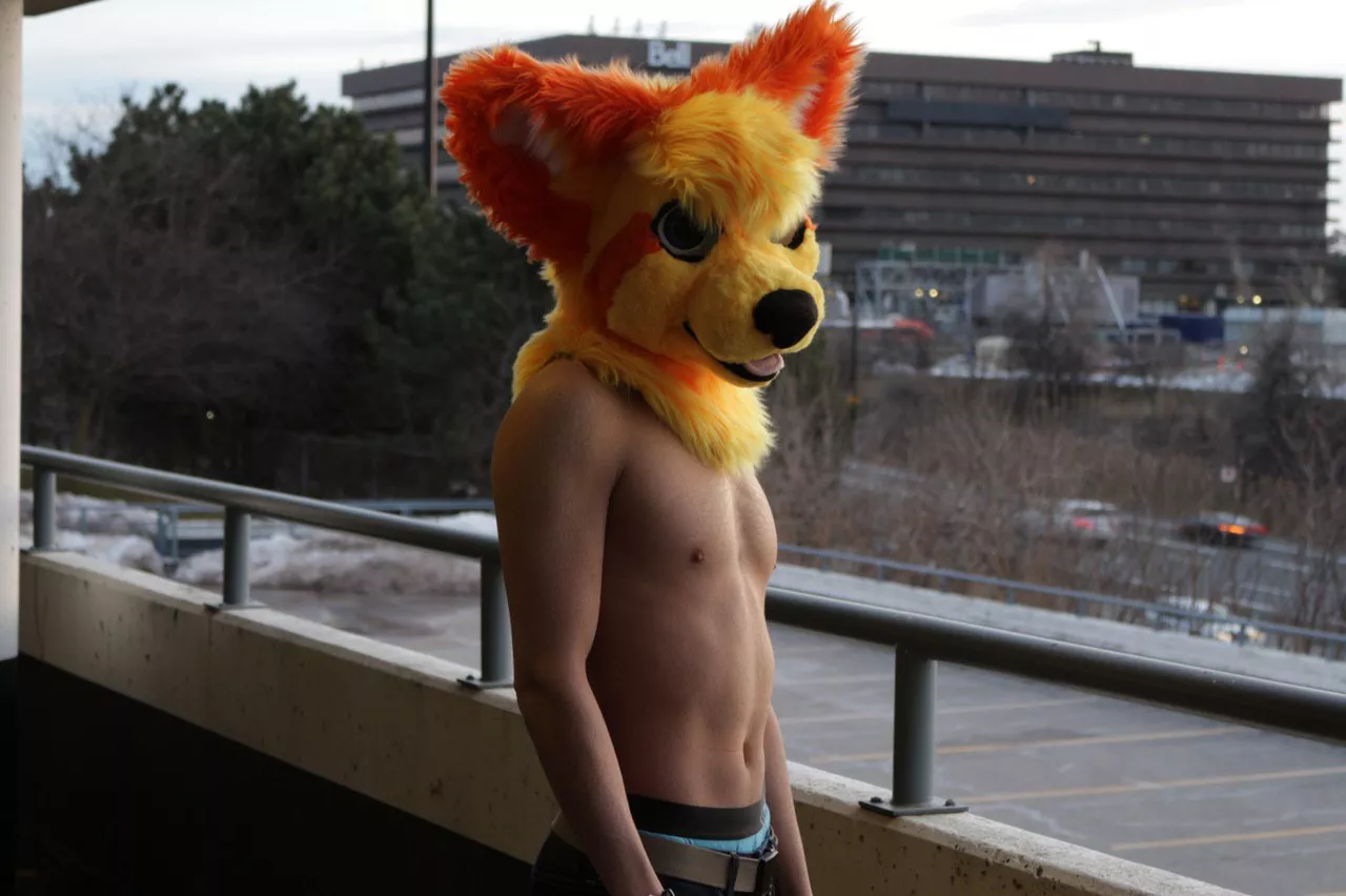 Hey there, wanna snuggle?