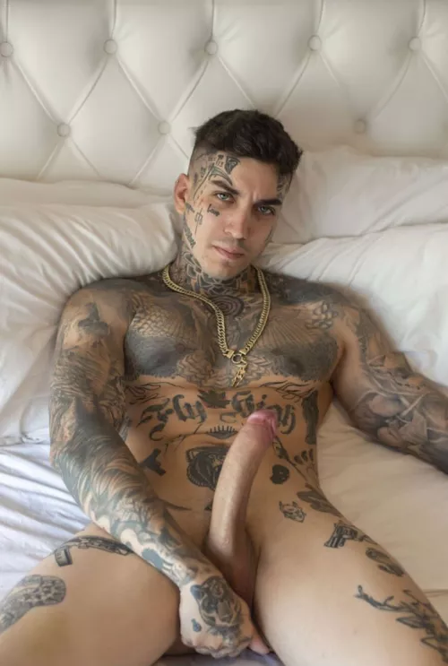 I'm a new reddit user...