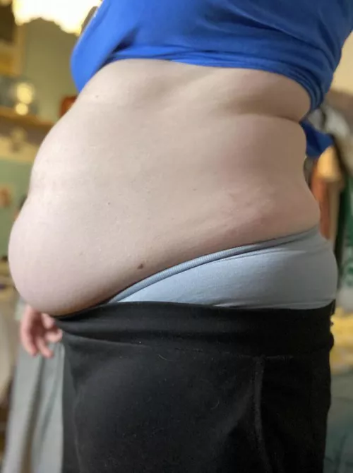 it turns me on so much seeing my belly hang past my underwear..i’m such a fat pig and i love it