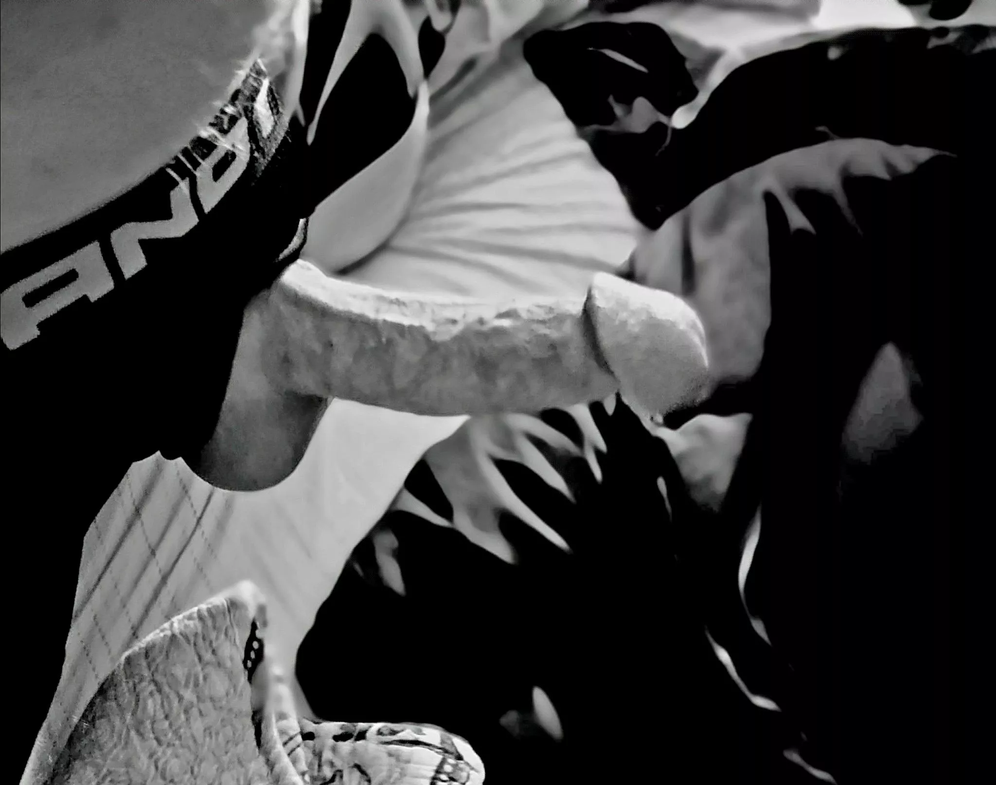 Let's end your Sunday with some light sin