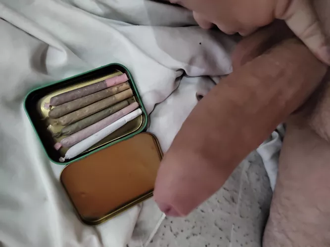 [m] Who tryna join me for a fun night?