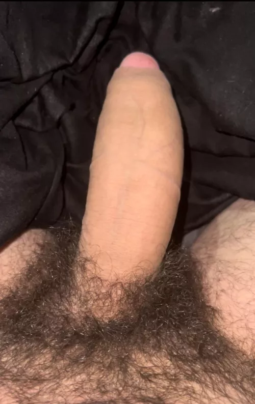 My thick hairy cock for you 😏🍆Dms open😈